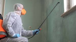 Professional Mold Removal in Hanover, PA